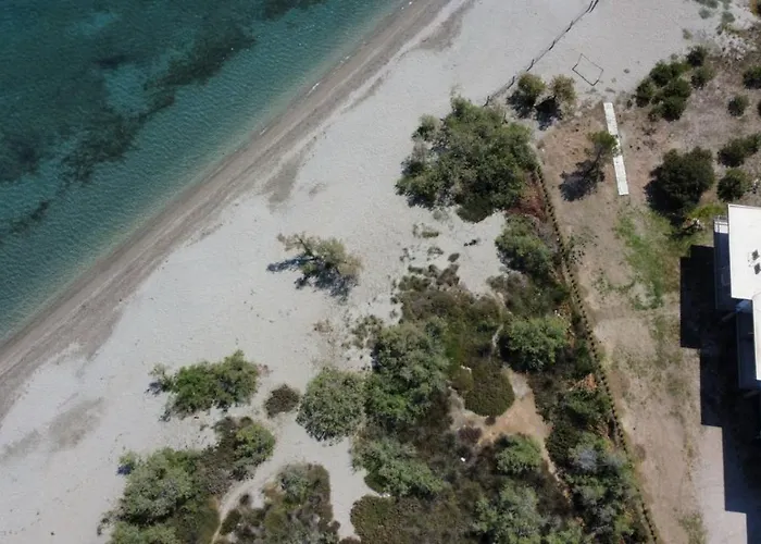 Marirena Plaz * Parálion Ástros