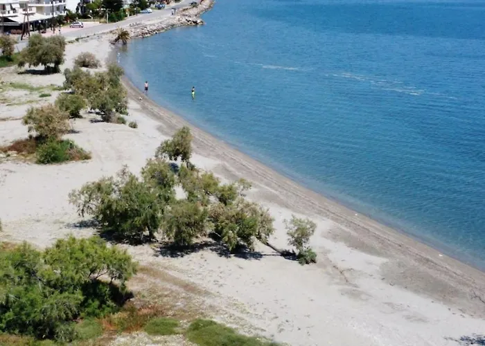 Marirena Plaz شقة