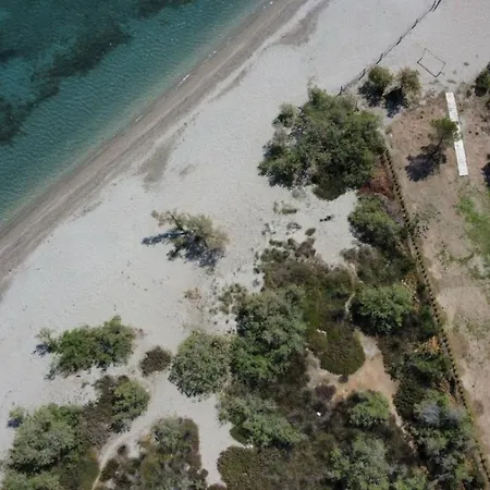 Marirena Plaz * Parálion Ástros