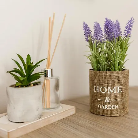 Marirena Plaz Apartman